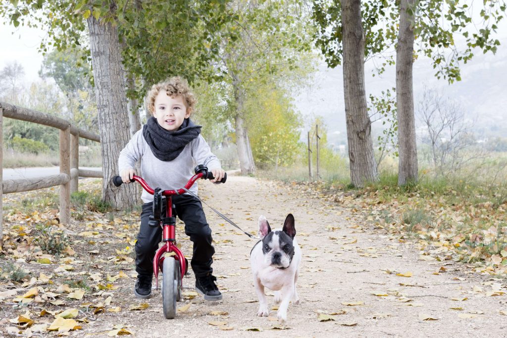 Riding a bike with a dog 